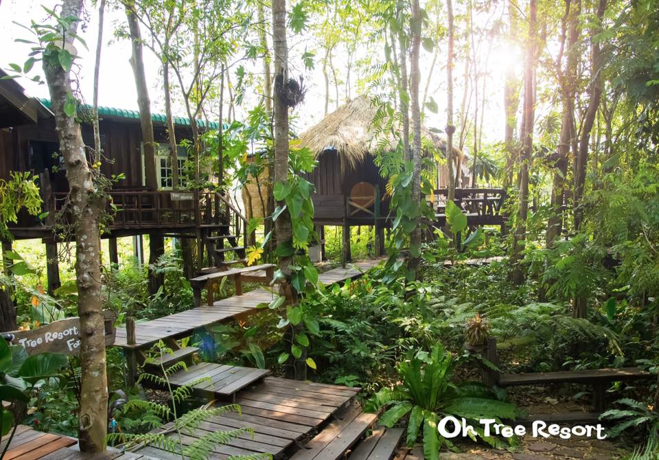 7 บ้านไม้ยกพื้นใต้ถุนสูง แบบไทยโบราณ บรรยากาศร่มรื่น - บ้านสไตล์-44