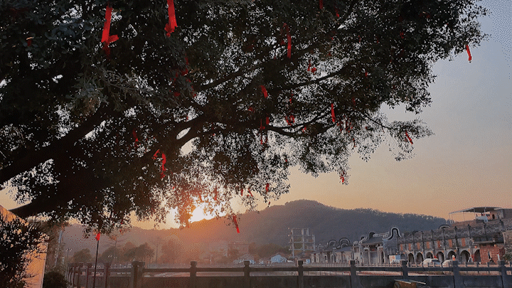 六百年岭南古村,如何振兴?丨广州花都港头村改造提升-121