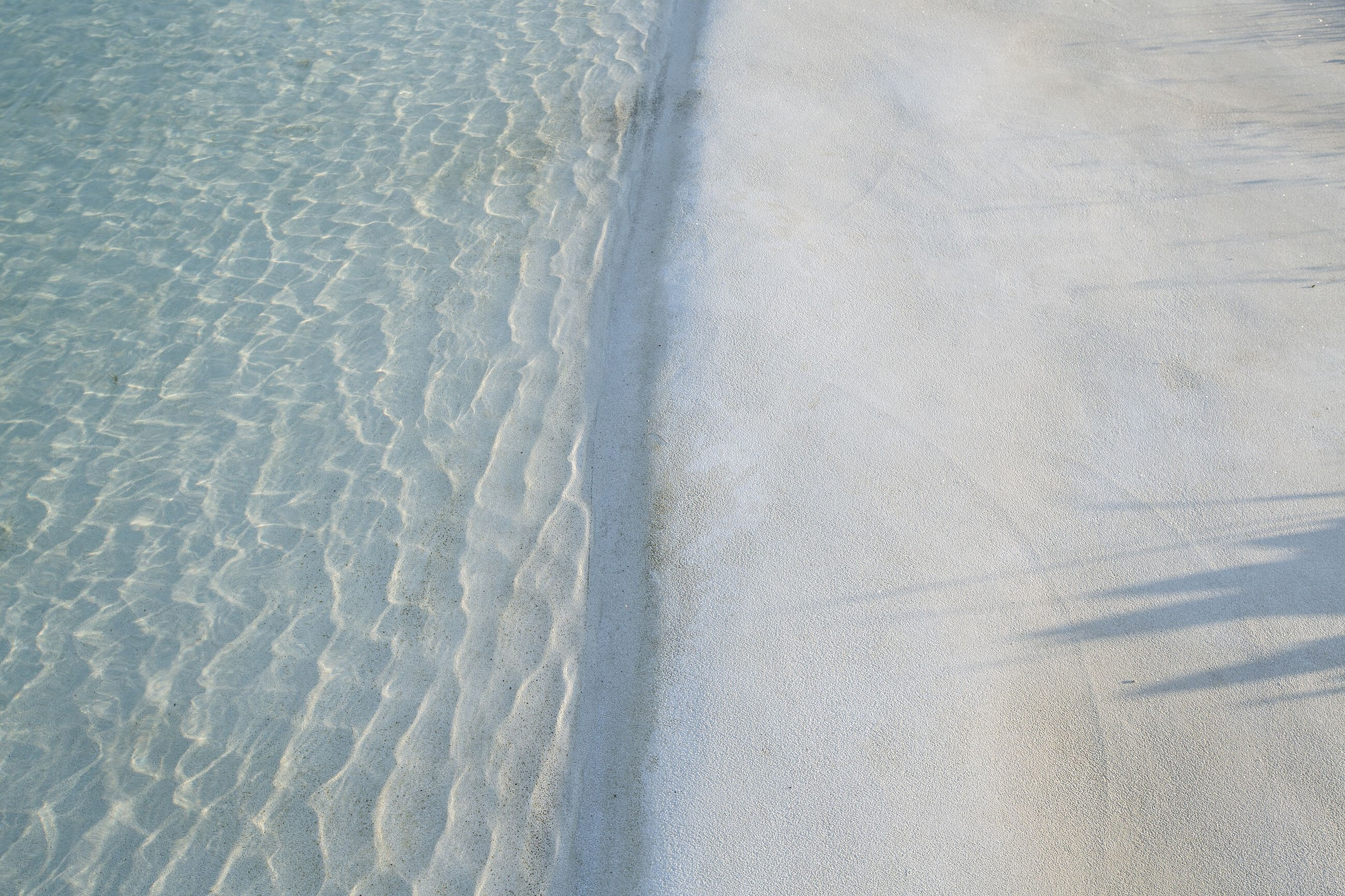 葡萄牙 Montemor·o·Novo 地区“时间之屋”-29