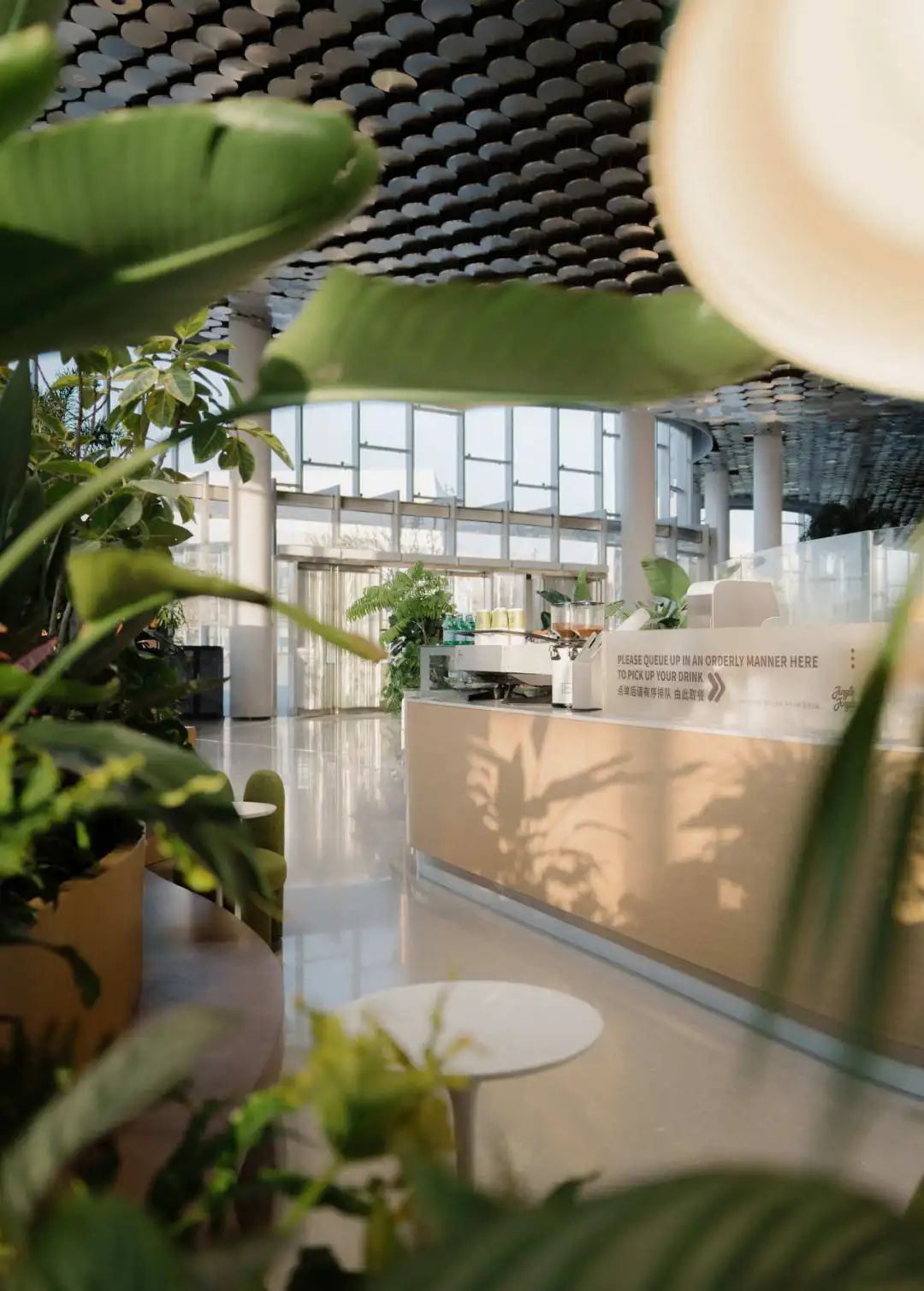 叮当丛林文创咖啡丨中国上海丨桐话空间-40