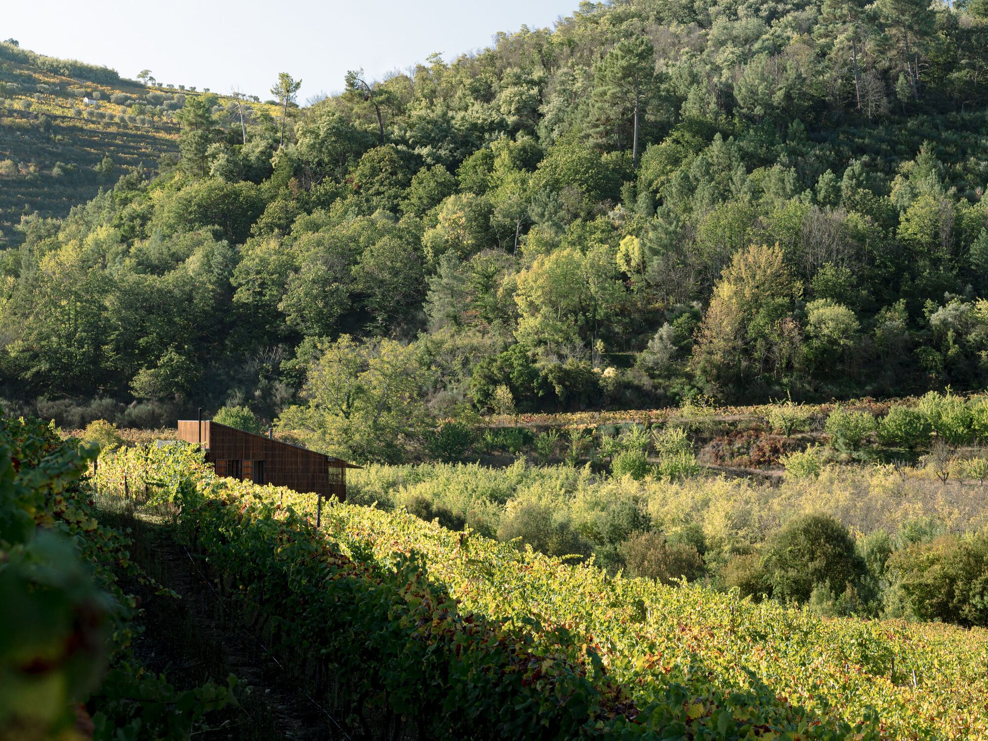 拉加尔宅邸丨Colajj-21