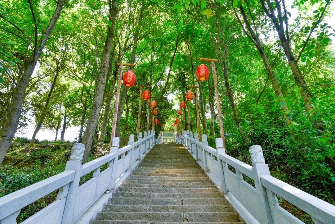 庐山桃花源景区名茶名泉节效果提升 | 打造茶禅一味的美景-123