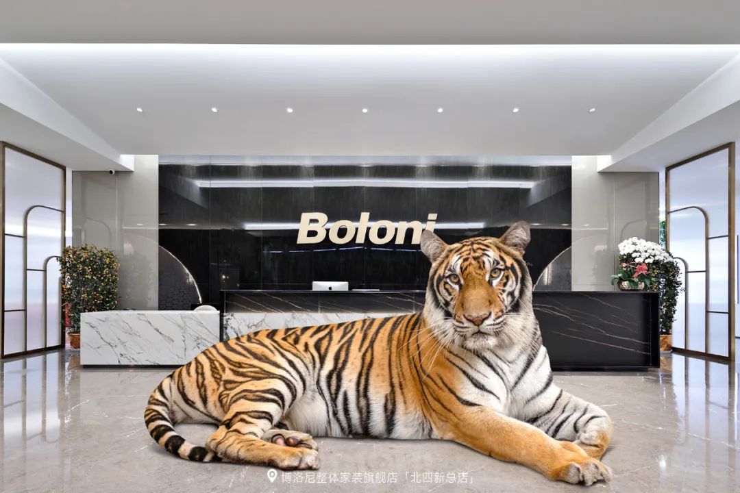博洛尼北四新总店丨中国北京-3