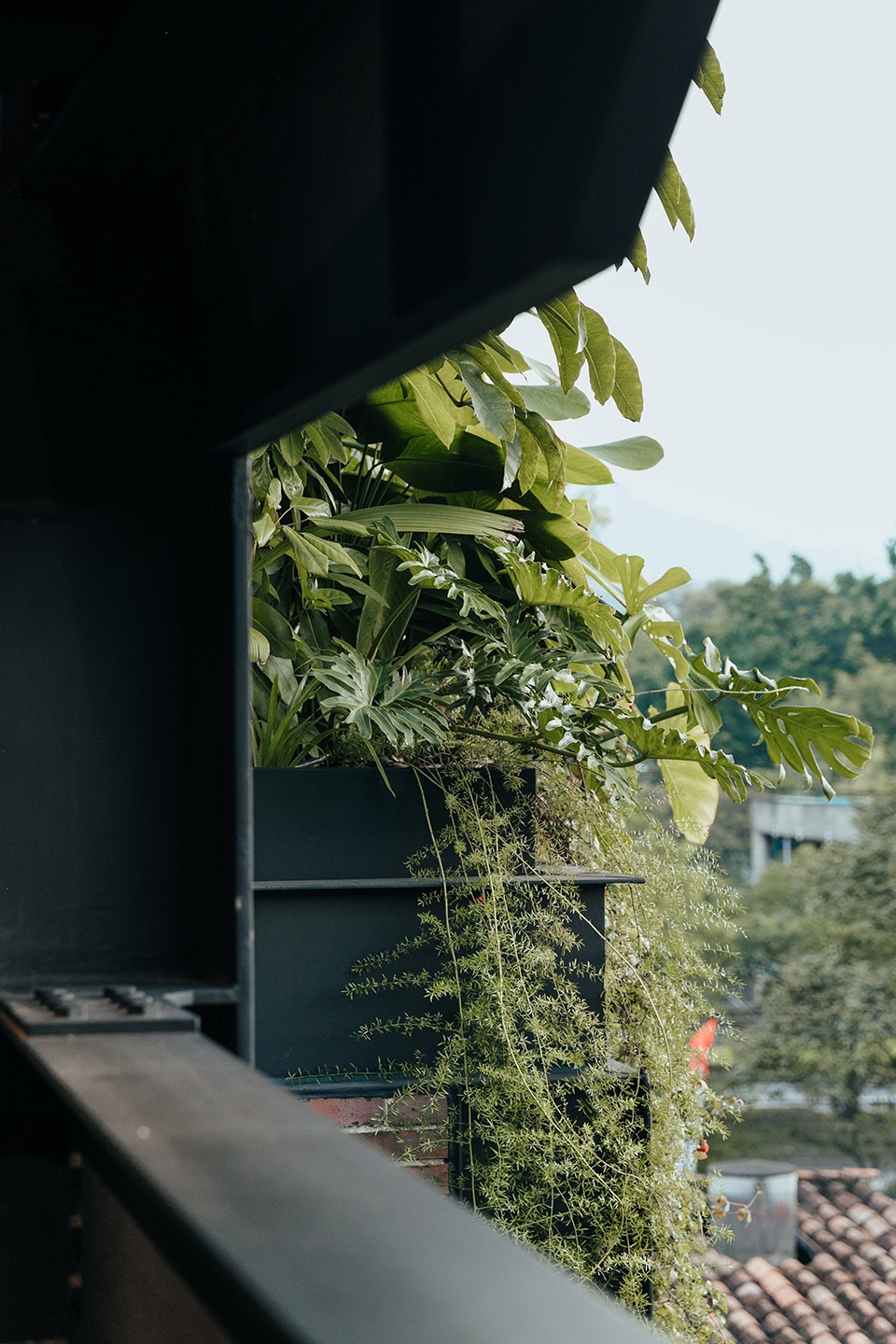 哥伦比亚麦德林 GP 大楼，交叠体量打造内部花园-42