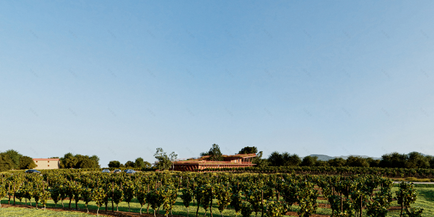 同批人;同期群;队列丨意大利波代诺内丨Beltrame Studio-18