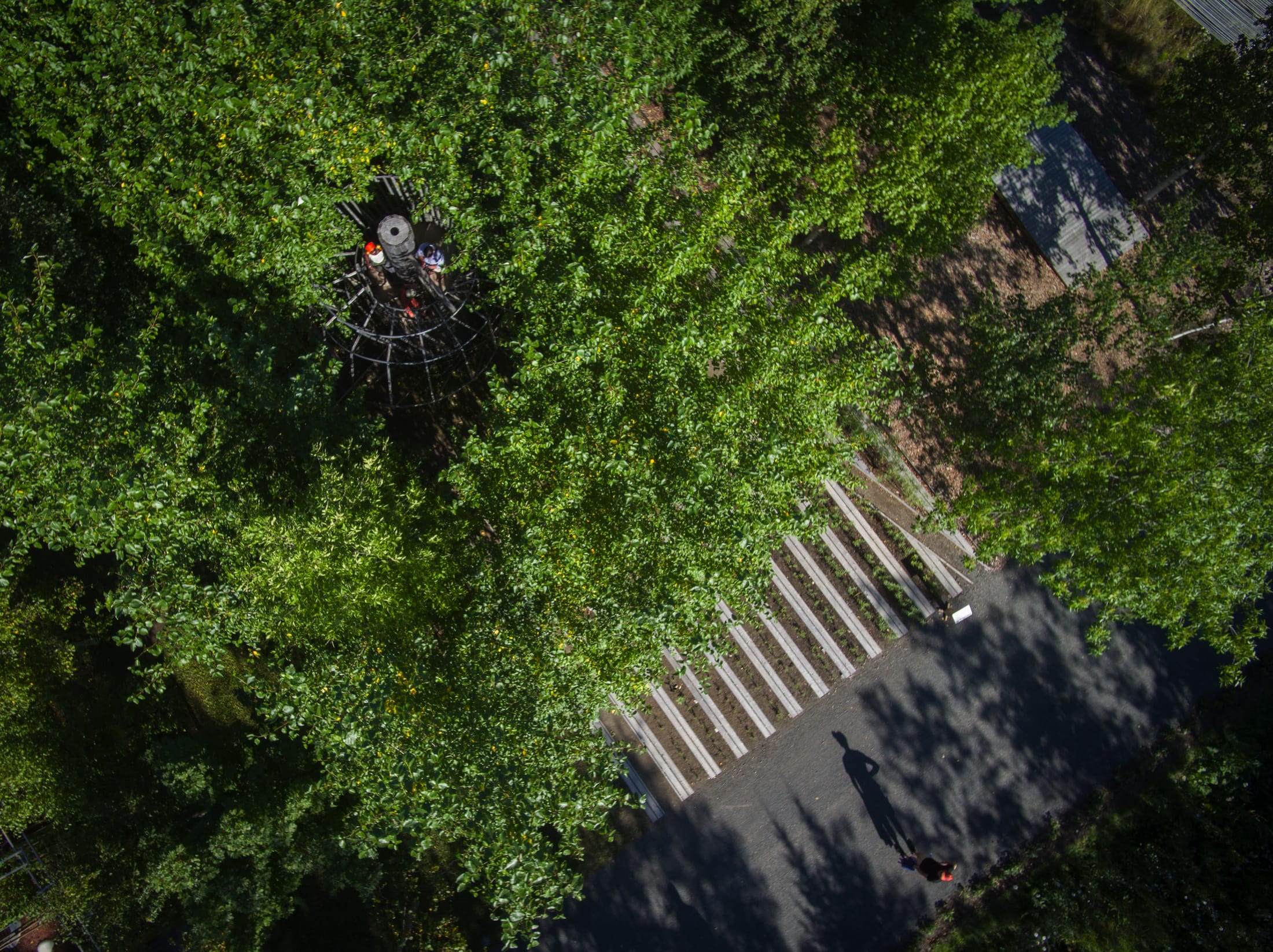 2019加拿大国际花园节(第二部分),Reford Gardens-90