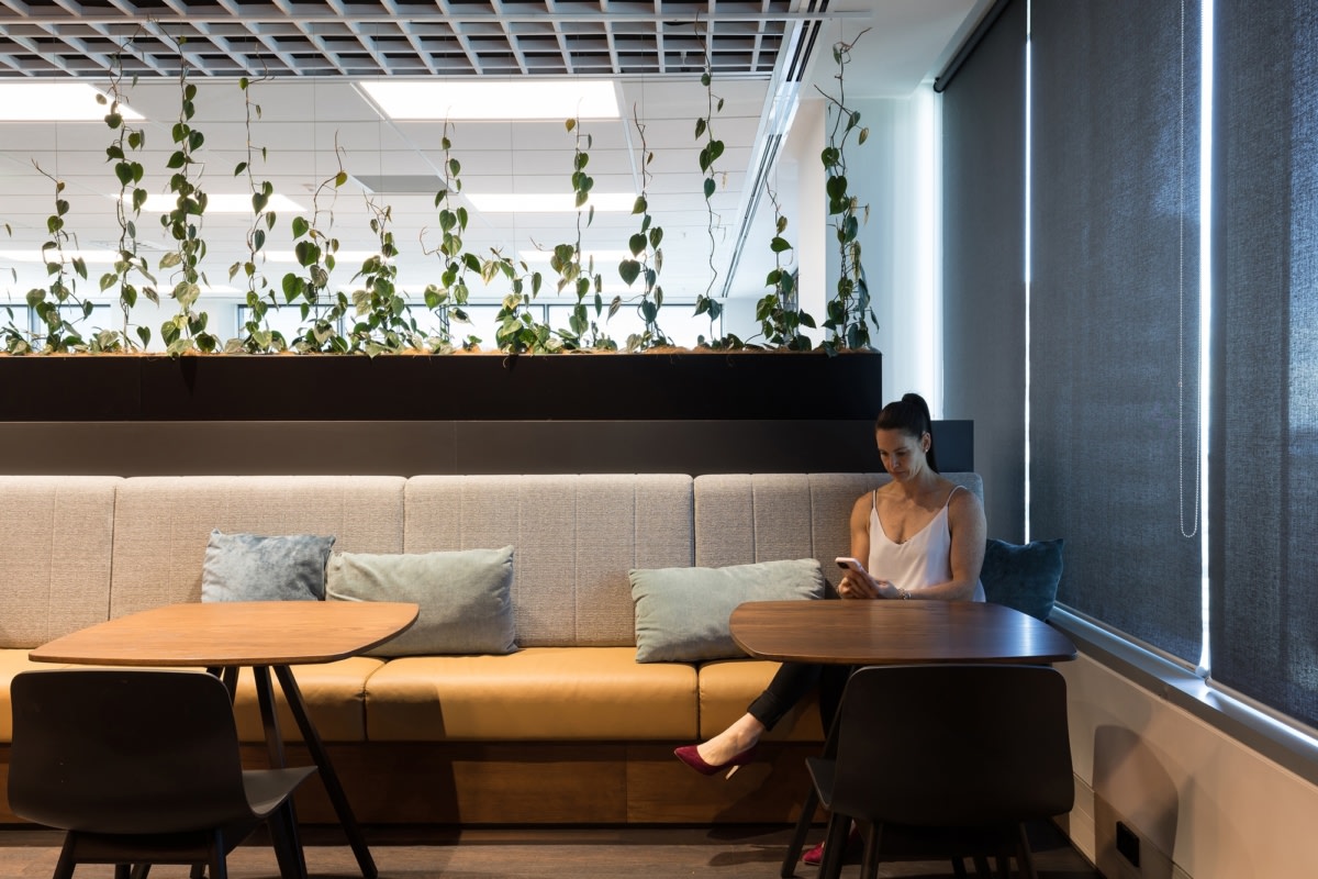 Tompkins Wake 办公室设计丨新西兰奥克兰丨STACK-17