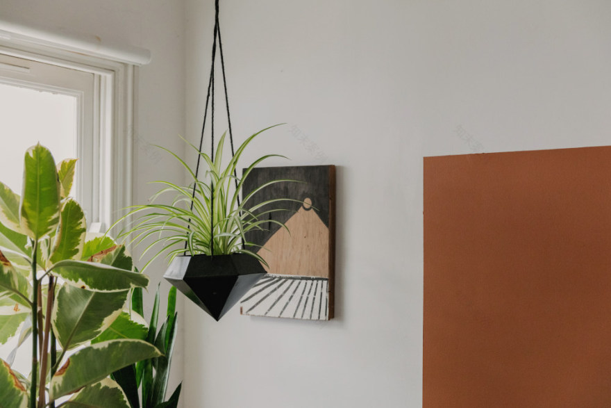 伦敦设计师打造活力出租屋,细节尽显现代生活-35