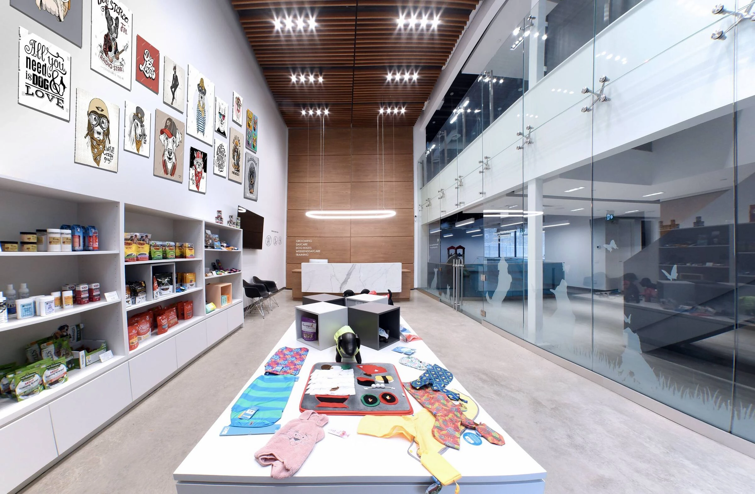 Park Lawn Dog Daycare-26