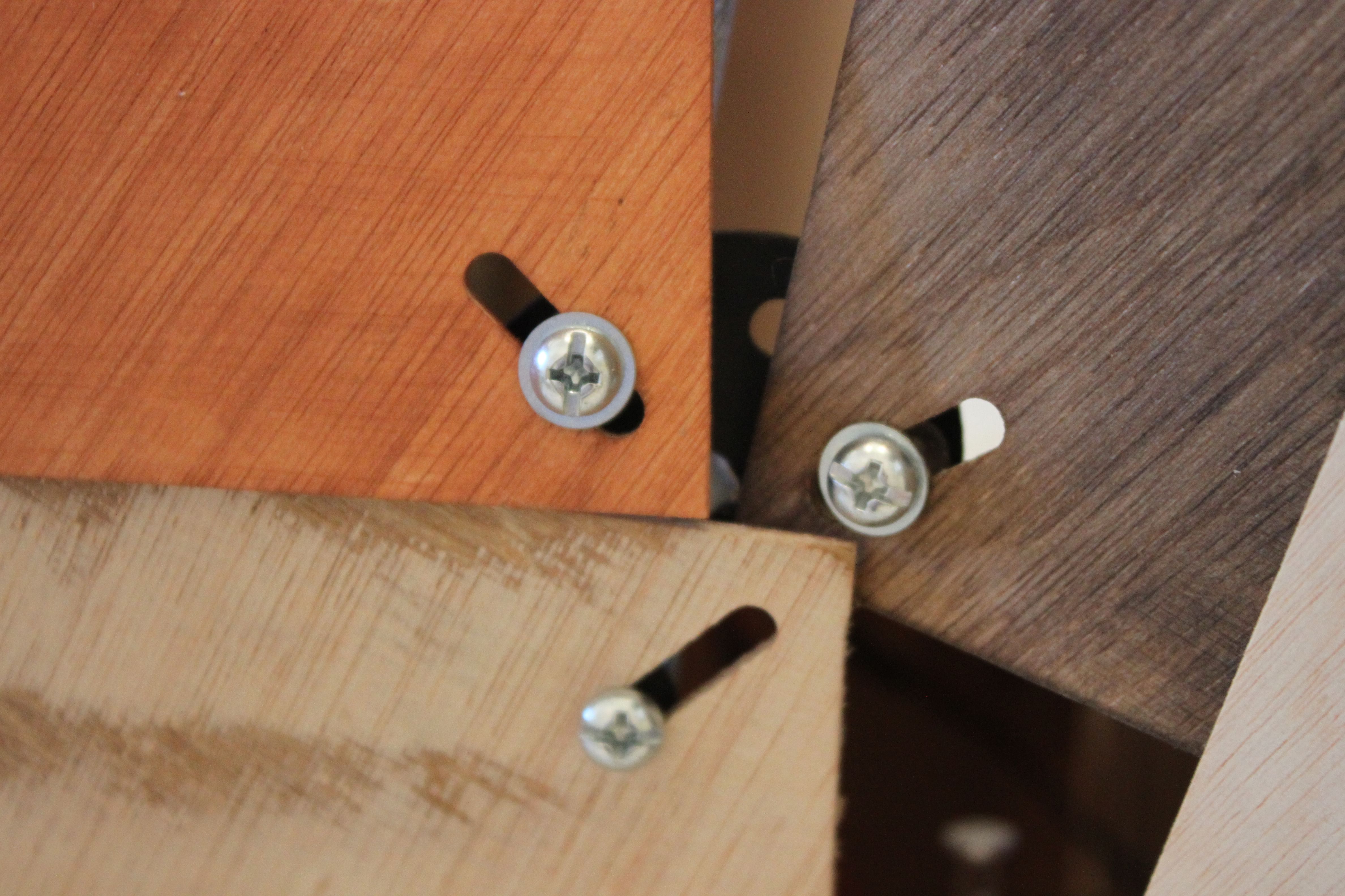 丨美国尤金丨俄勒冈大学数字媒体协作俱乐部（DMC）-23