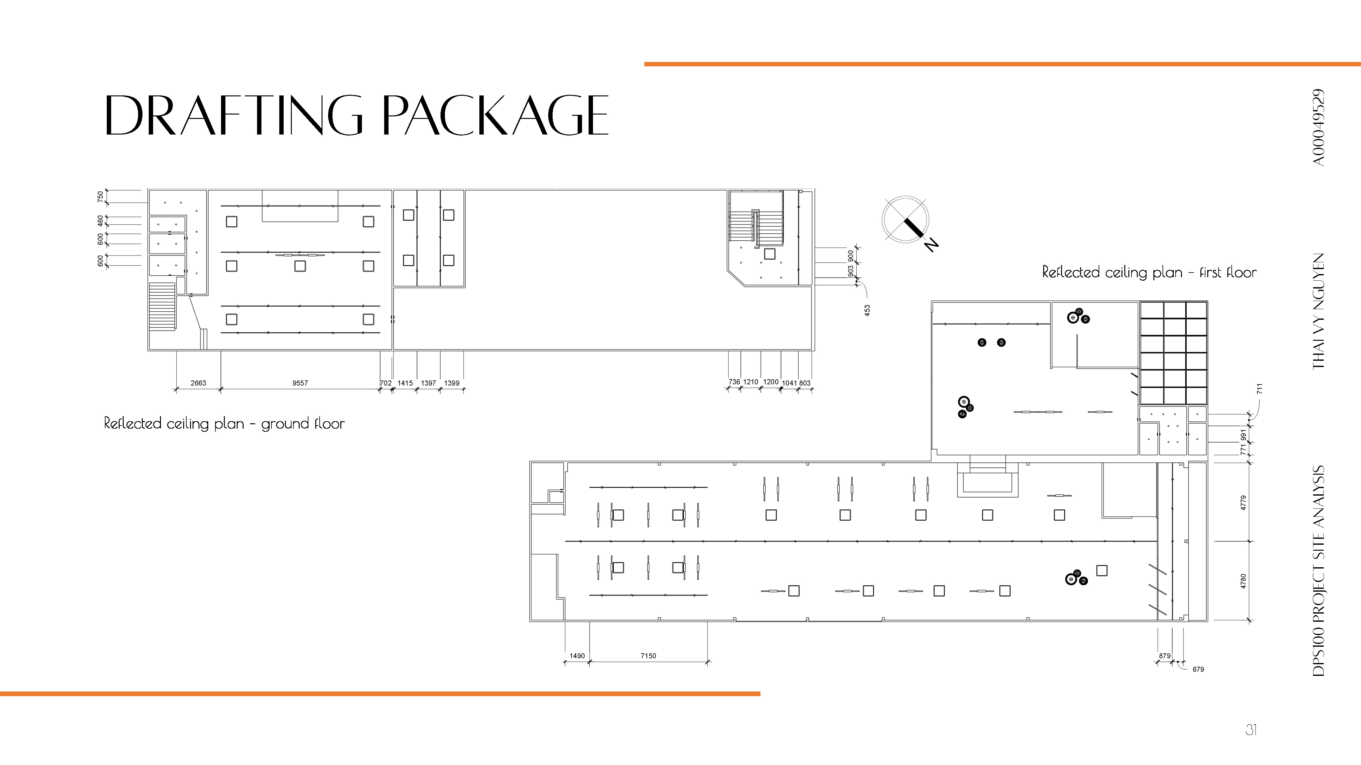 DPS100_Project Site Analysis: Assessment 3-28