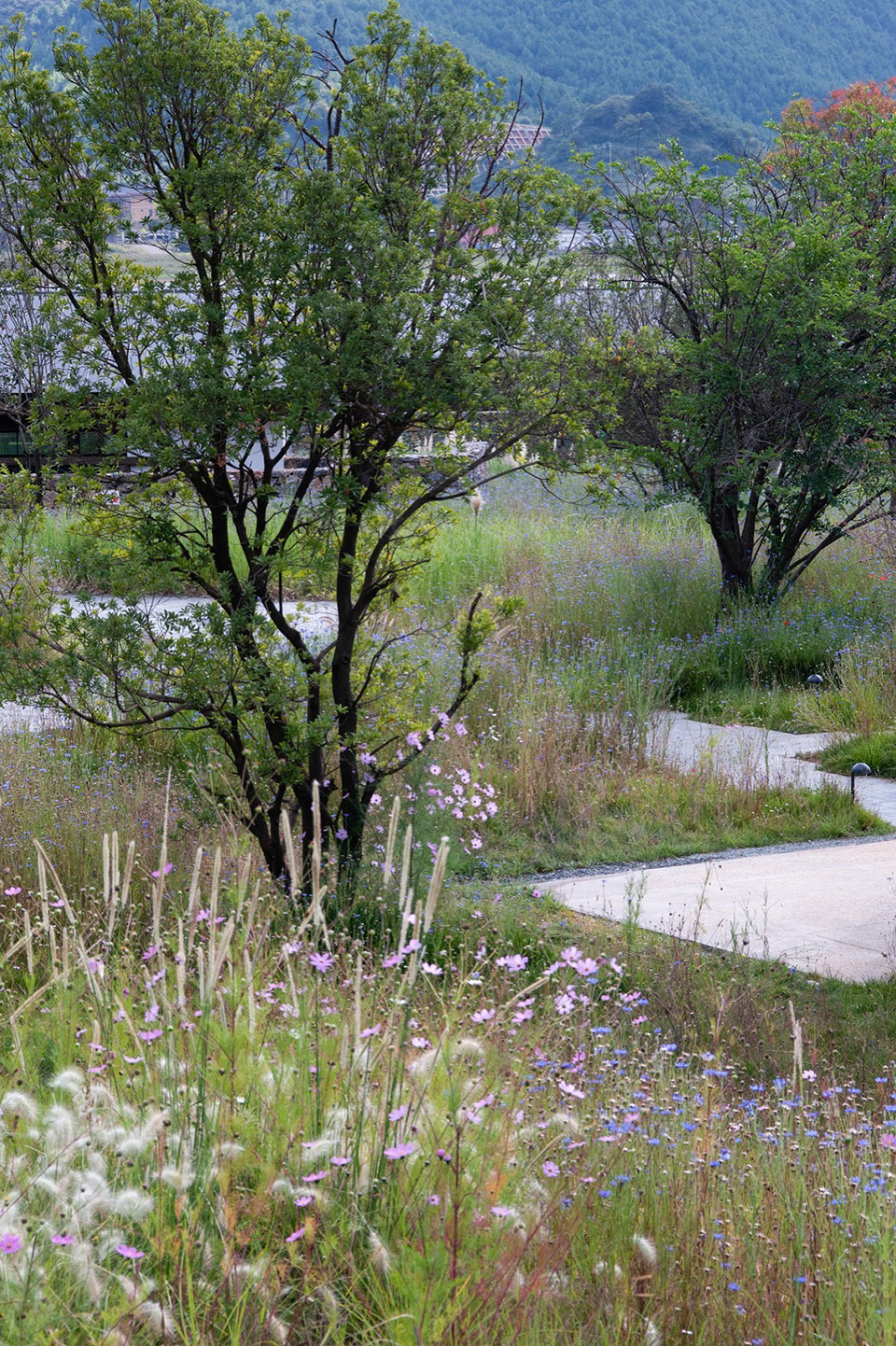 泸沽湖岚岳海子花园丨中国丽江丨Z’scape致舍景观（景观）,尚壹扬设计（建筑及室内）-102