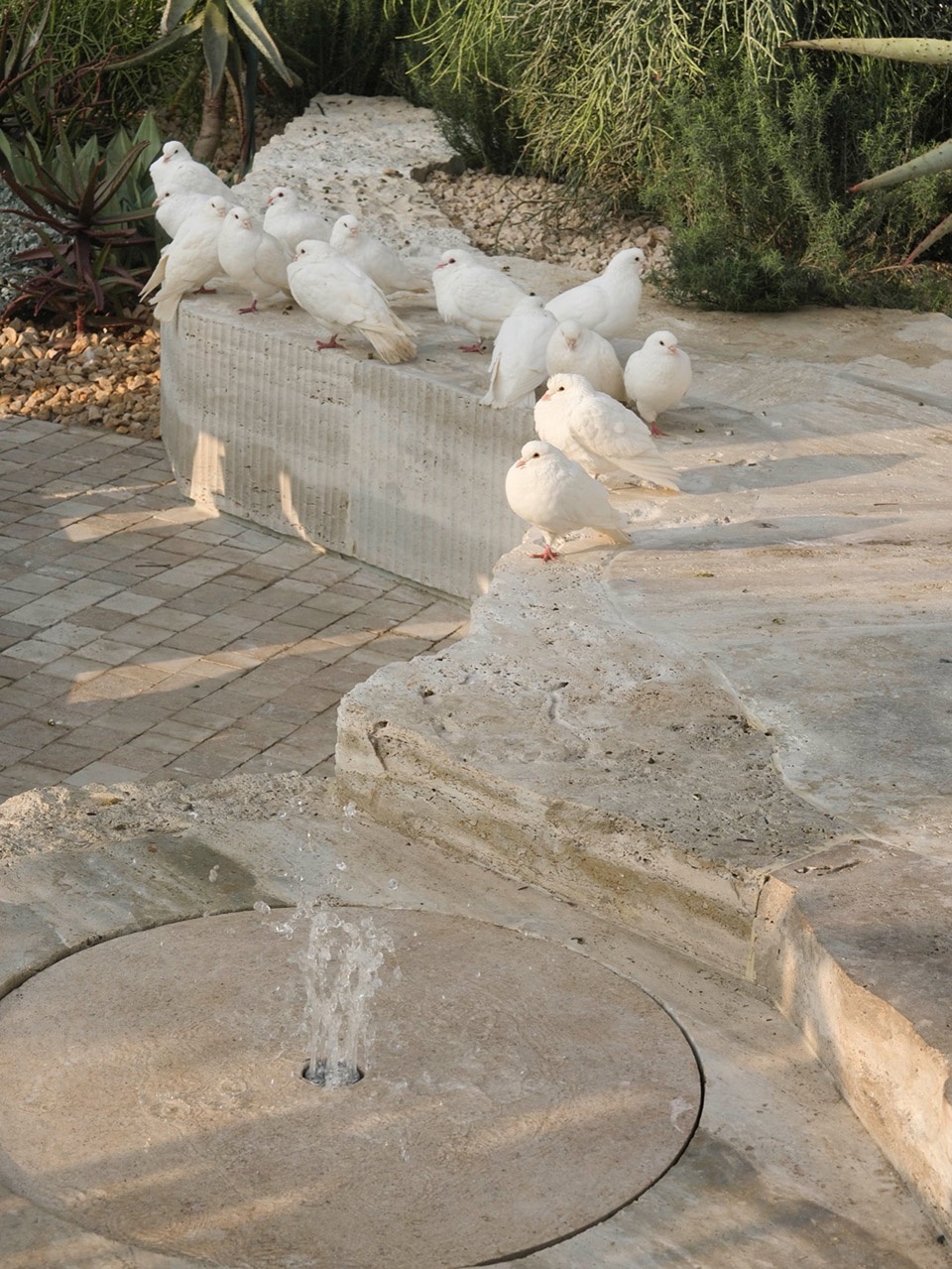 MIXC VILLAGE东莞万象滨海购物村丨萨尔瓦多滨海丨承迹景观,AG汇序建筑设计等多家公司-146