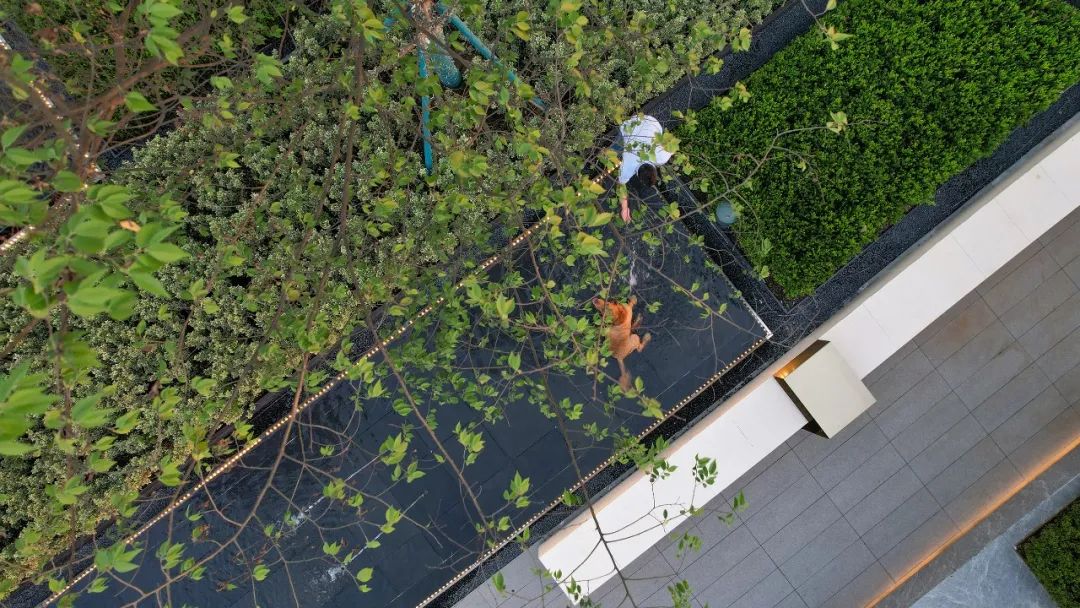 南京海伦堡璟熙府示范区丨中国南京丨上海道田景观工程咨询有限公司-22