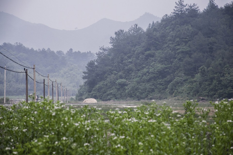 茧寮稻鸭共养 · 双庙村生态养殖设计-0