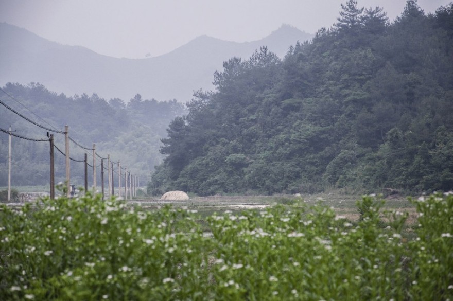 茧寮稻鸭共养 · 双庙村生态养殖设计-0