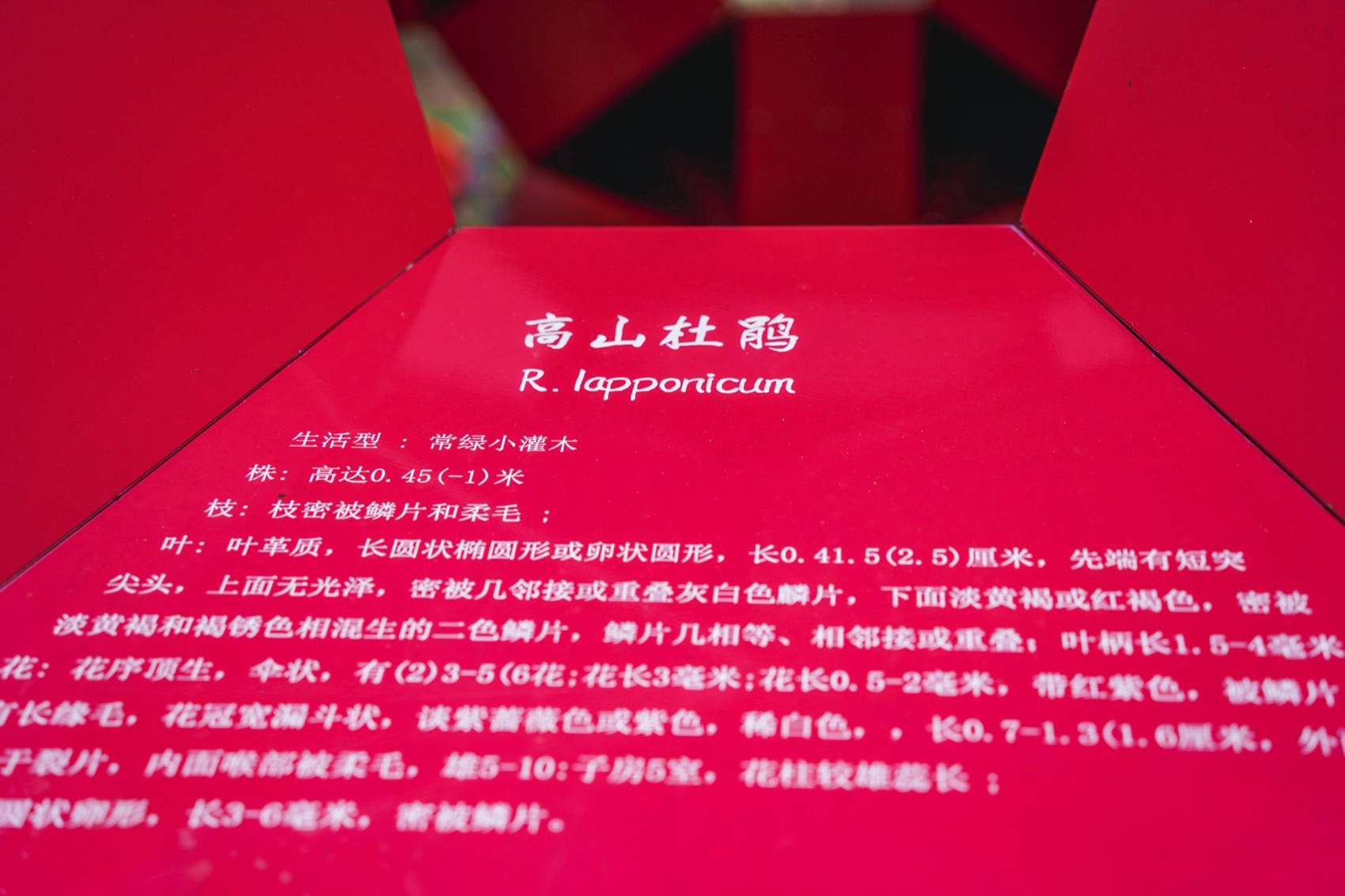 互动视听花园，深圳 / 华南理工大学建筑学院风景园林系-54