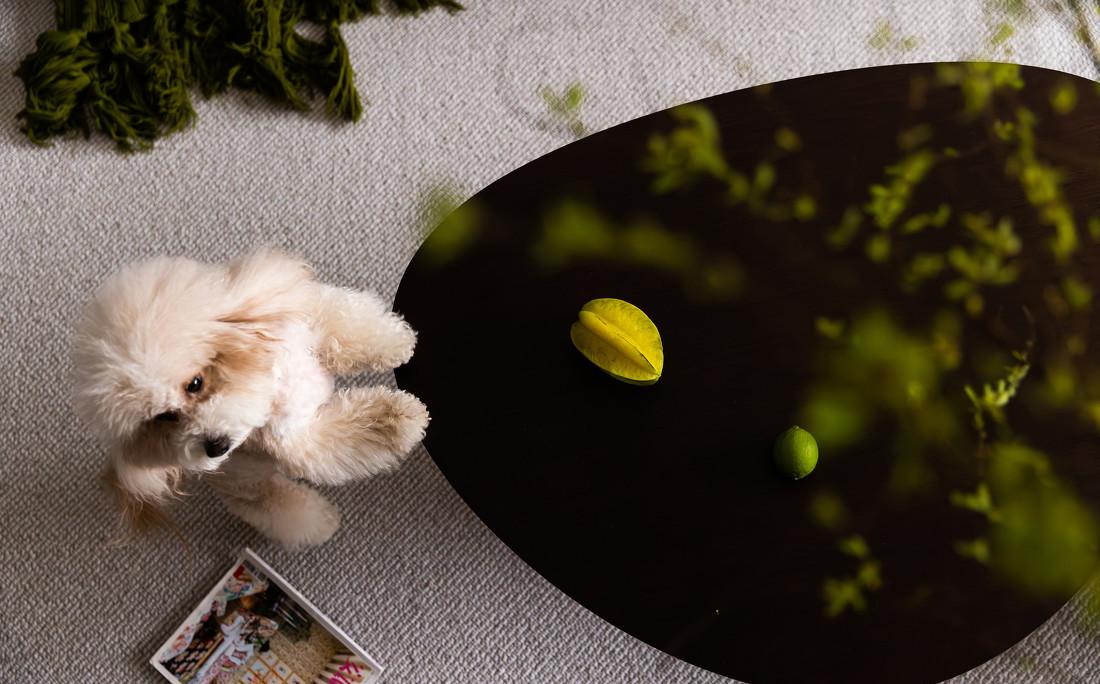 城市玖玺丨中国聊城丨上海众合铂纳空间设计-14