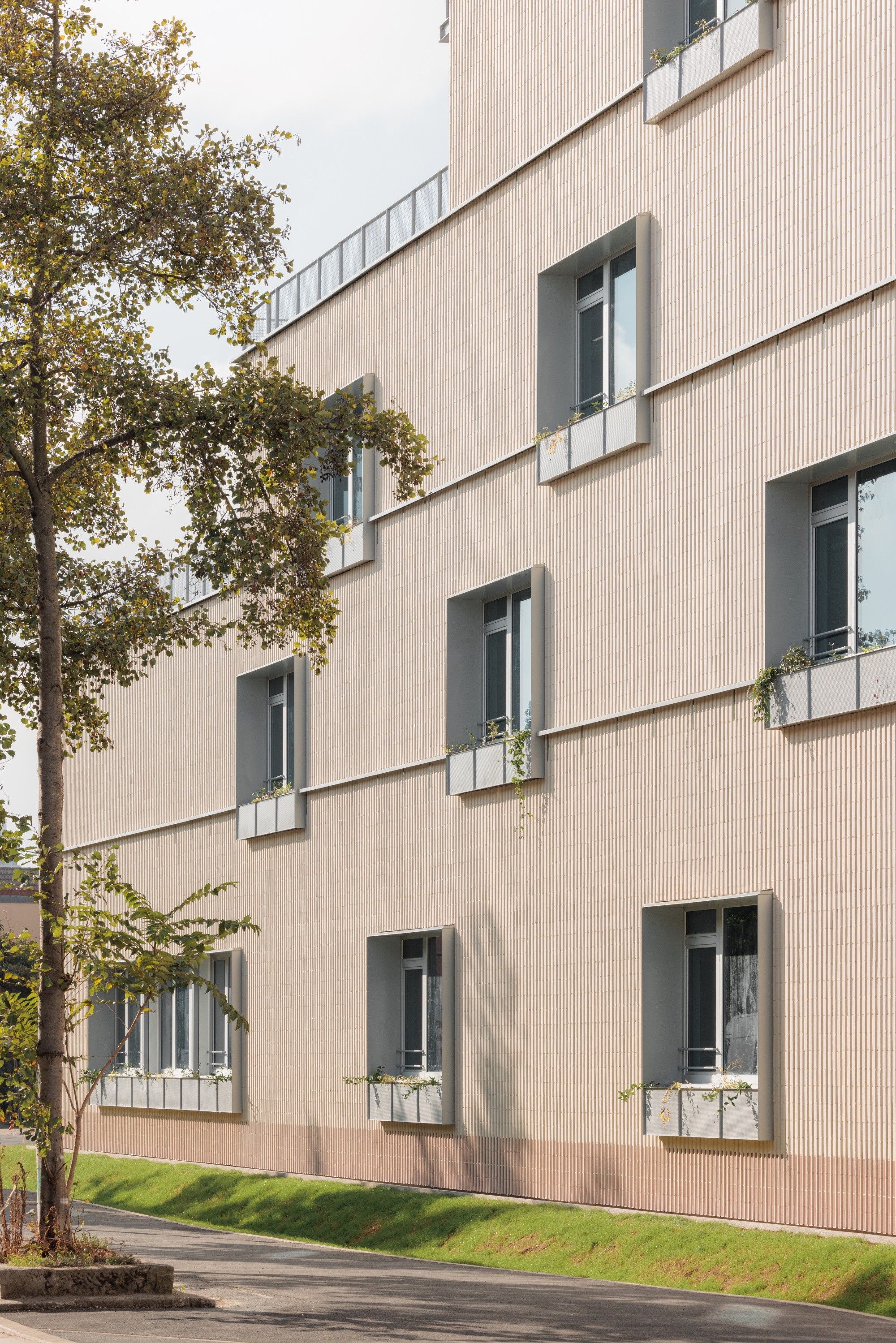 多米尼克·弗洛学校综合体丨法国-21