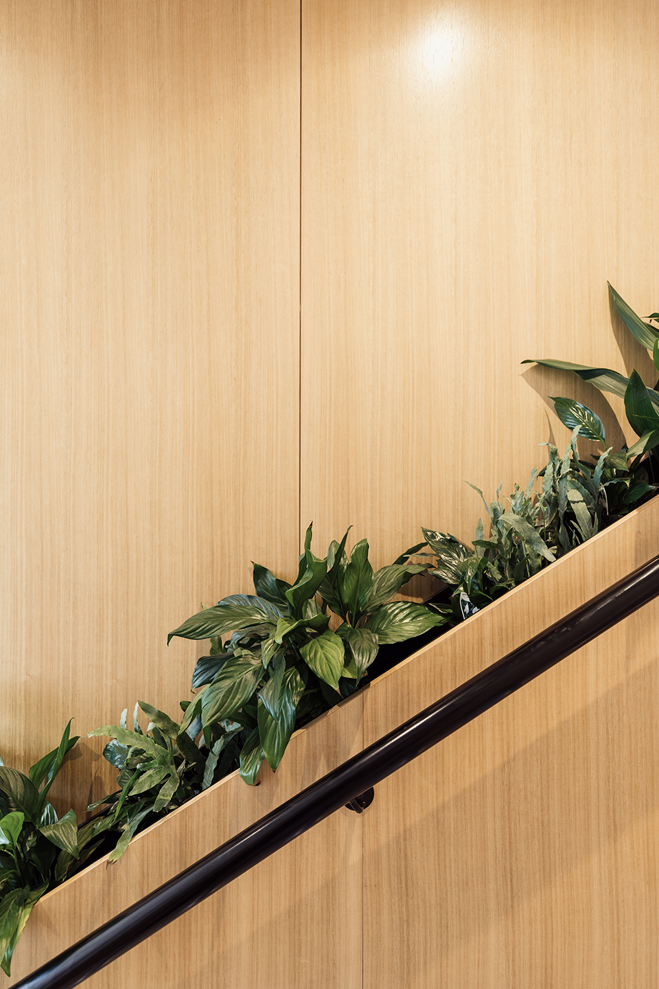 澳大利亚新城医疗室丨澳大利亚霍巴特-23