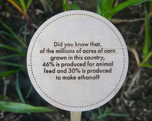 丨美国哥伦布丨MASS Design Group-24