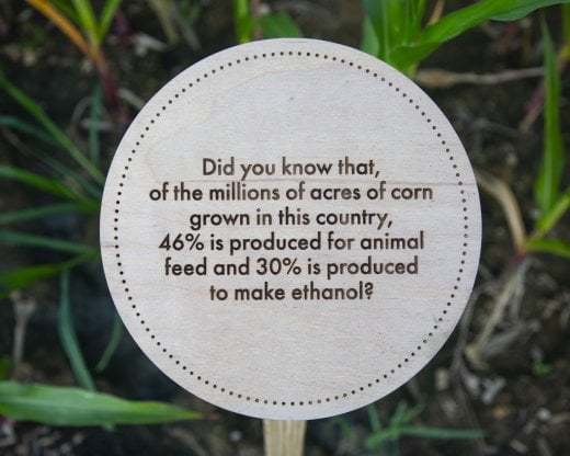 丨美国哥伦布丨MASS Design Group-24