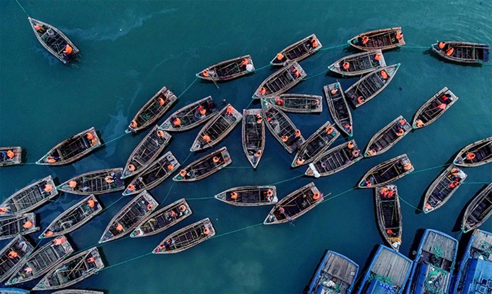 深圳渔业发展建设规划展丨中国深圳丨PILLS工作室-9