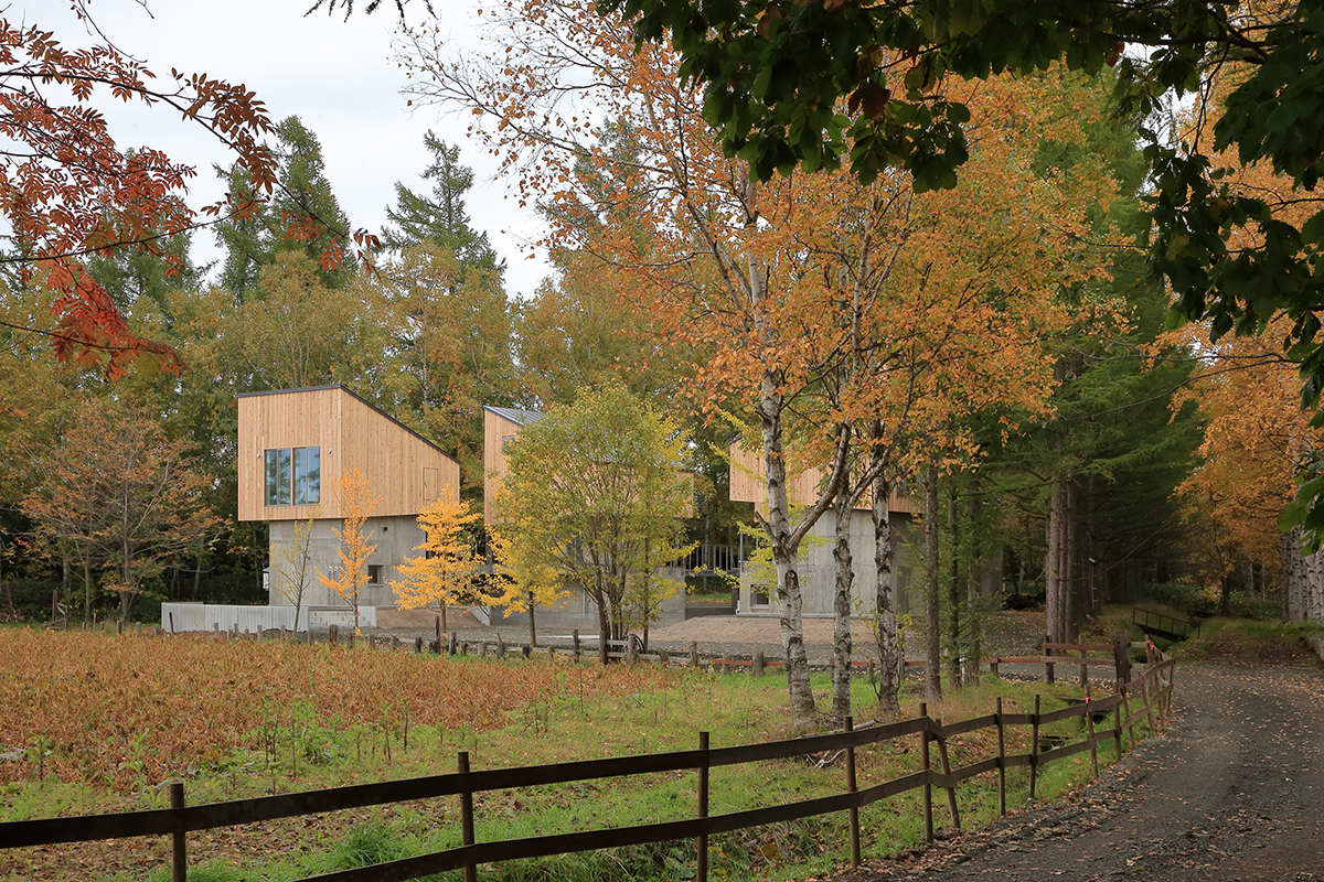 美瑛别墅群丨佐野健太建筑设计事务所-7