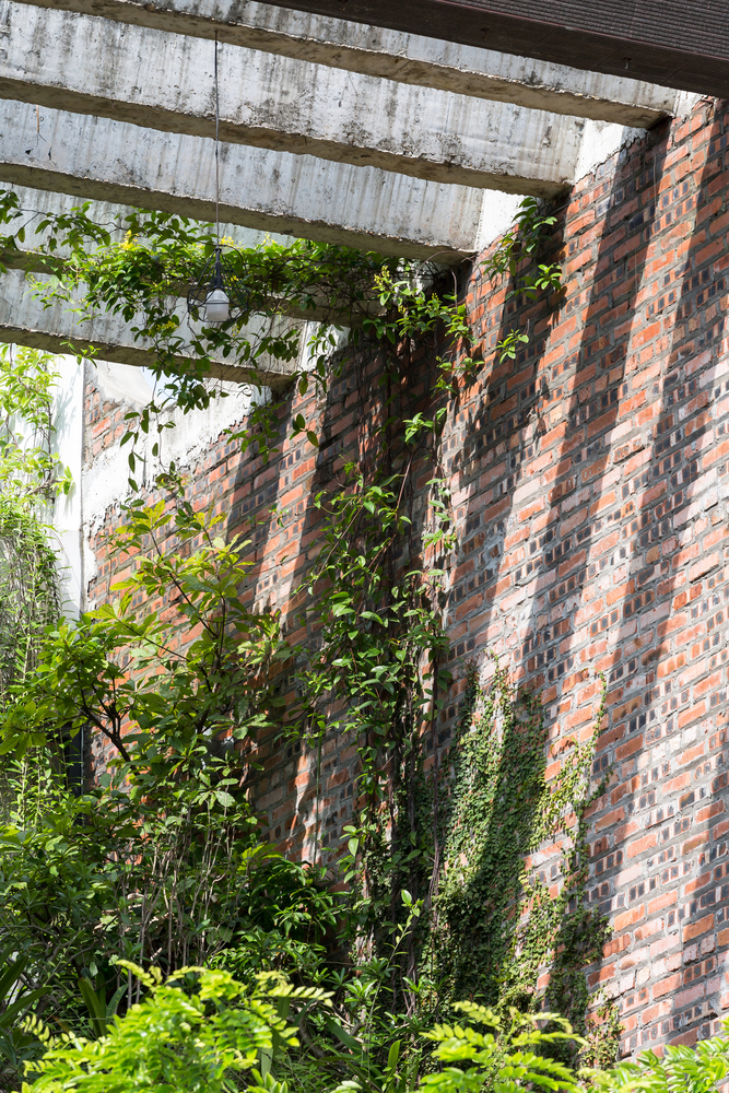 无损检测薄层色谱法之家-38