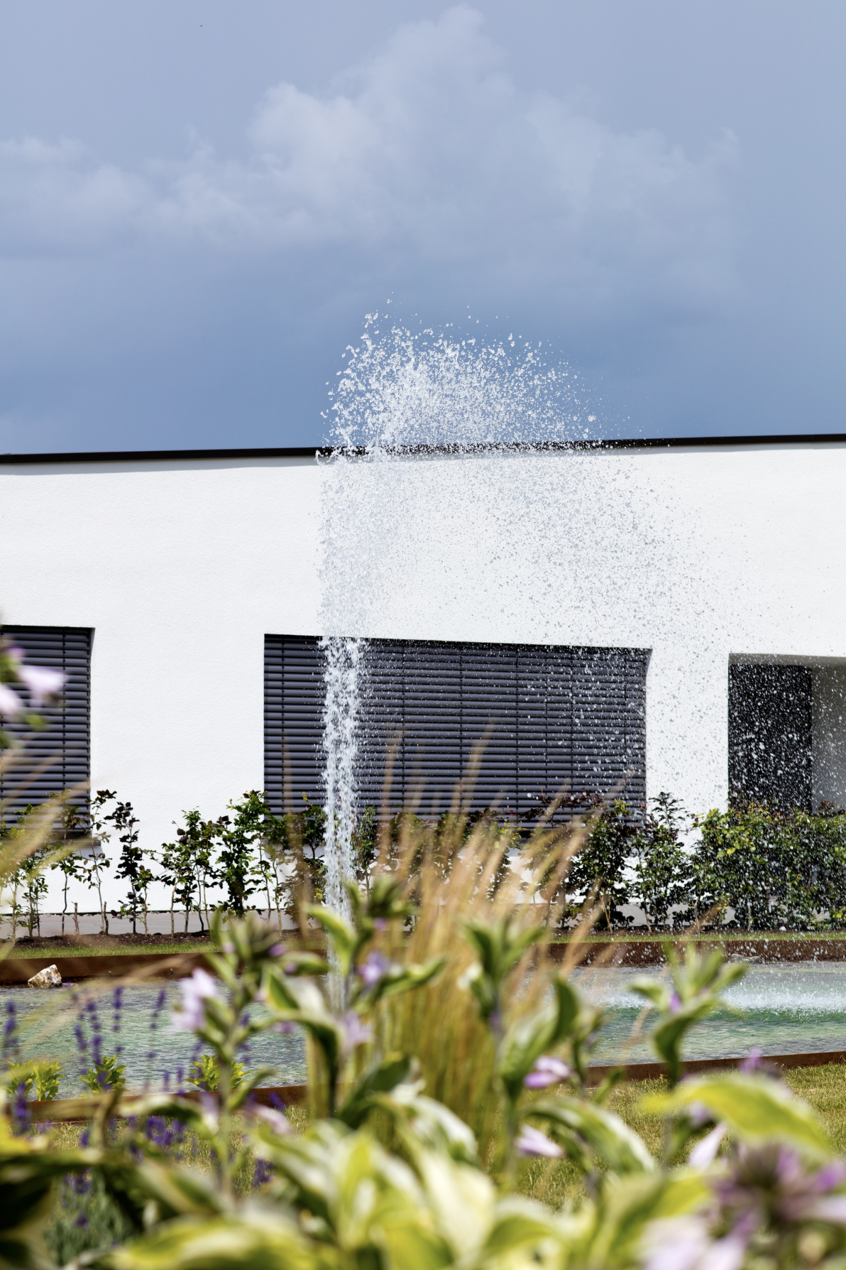 Calw新宅:健康工作与居住之所丨buerohauser-77