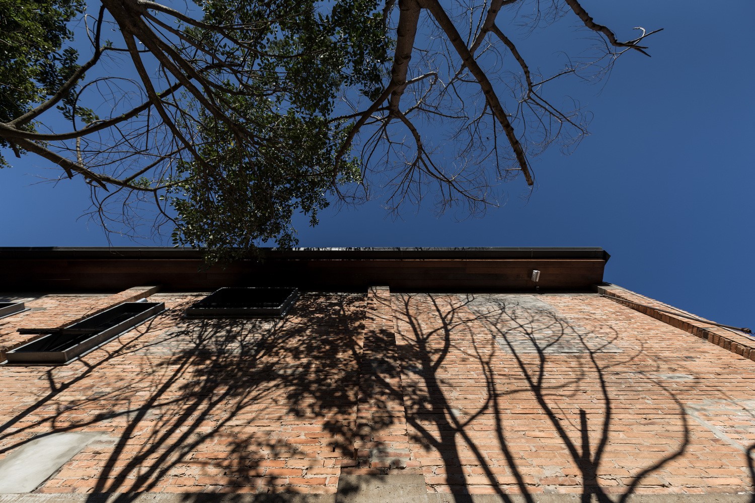 巴西 Michielon 酒厂复兴 | 历史记忆与现代文化的完美融合-9