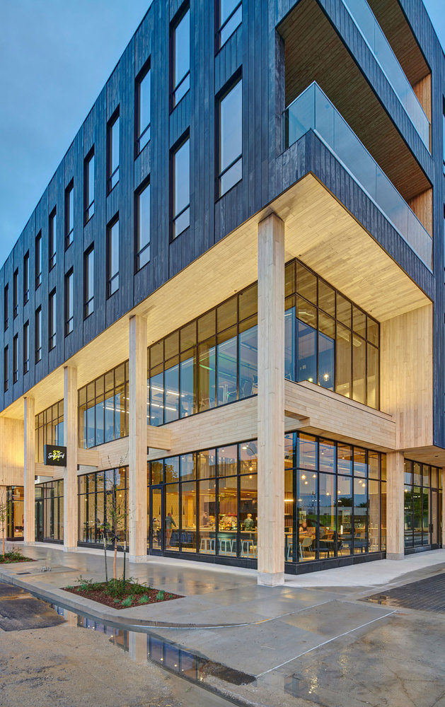 东格兰德 111 号-37