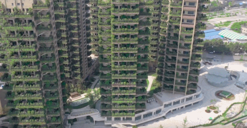 第四代住房「垂直森林」来了,竟在中国遍地开花!网友:蚊子太多,住不起......-184