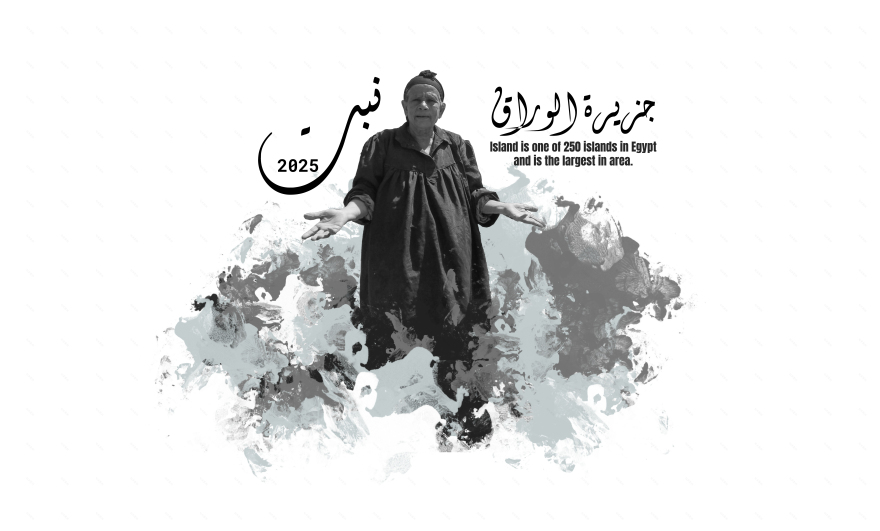 NAPT · جزيرة الوراق 2025(纸张岛2025项目)丨埃及丨Islam ahmed Rowaida gamal-5