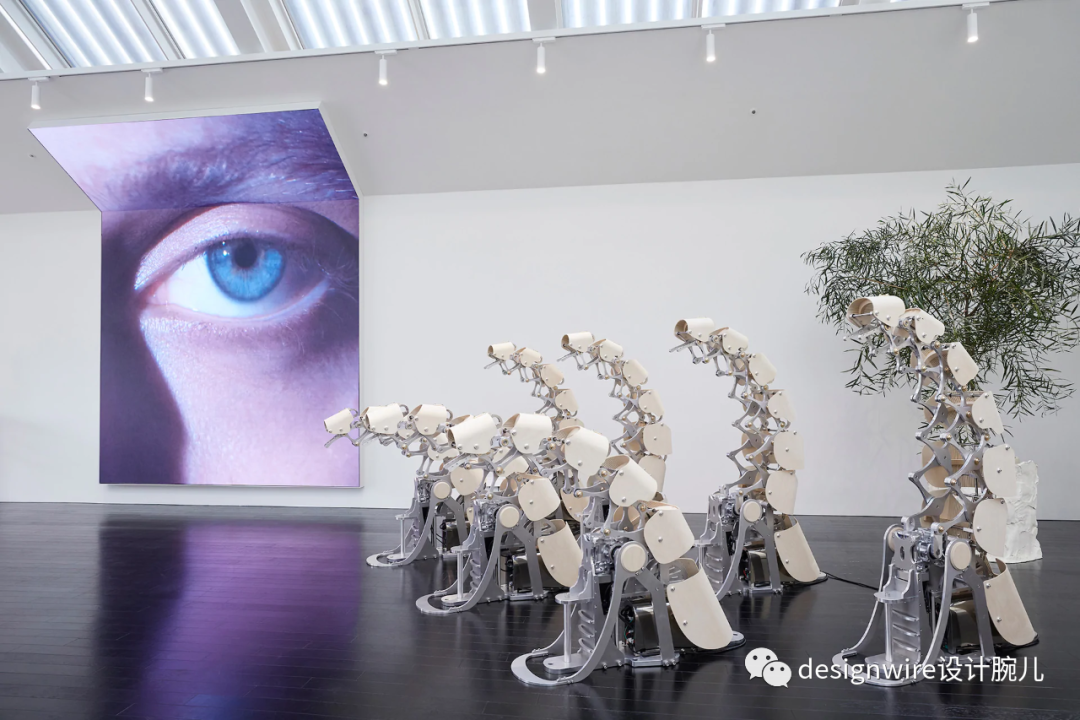 上海 HAUS SHANGHAI | 全球最大 Gentle Monster 旗舰店颠覆未来零售体验-149