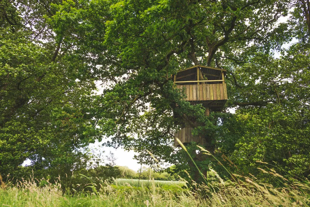 英格兰乡村的环保舒适度假小屋-15