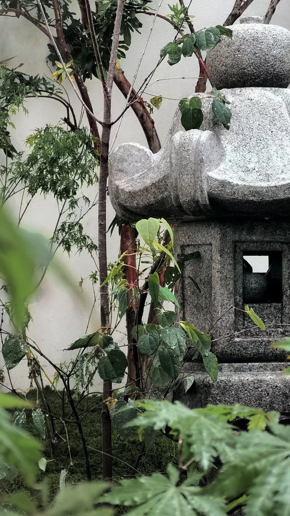 上海桃花源私庭营造丨中国上海丨墨刻丨無言斋造园-99