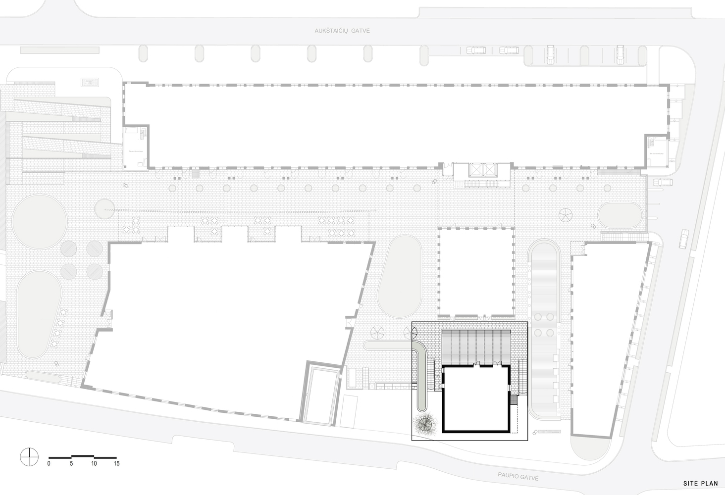 立陶宛帕萨卡电影院-31