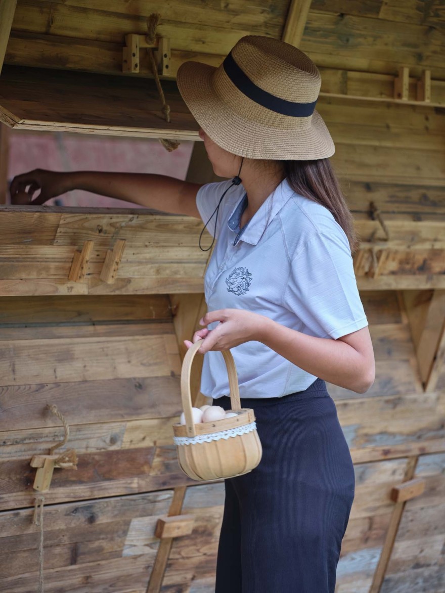 Næra Hotel 新型鸡舍设计丨Leeko Studio-35