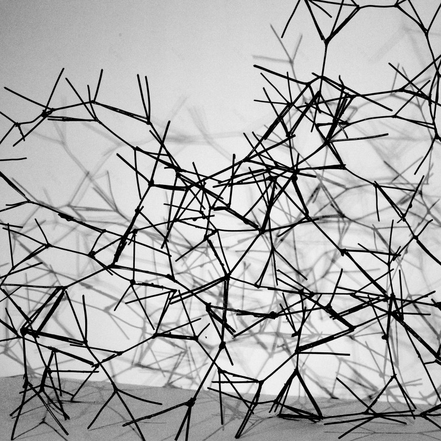 马特恩和帕滕,丝瓜络-12