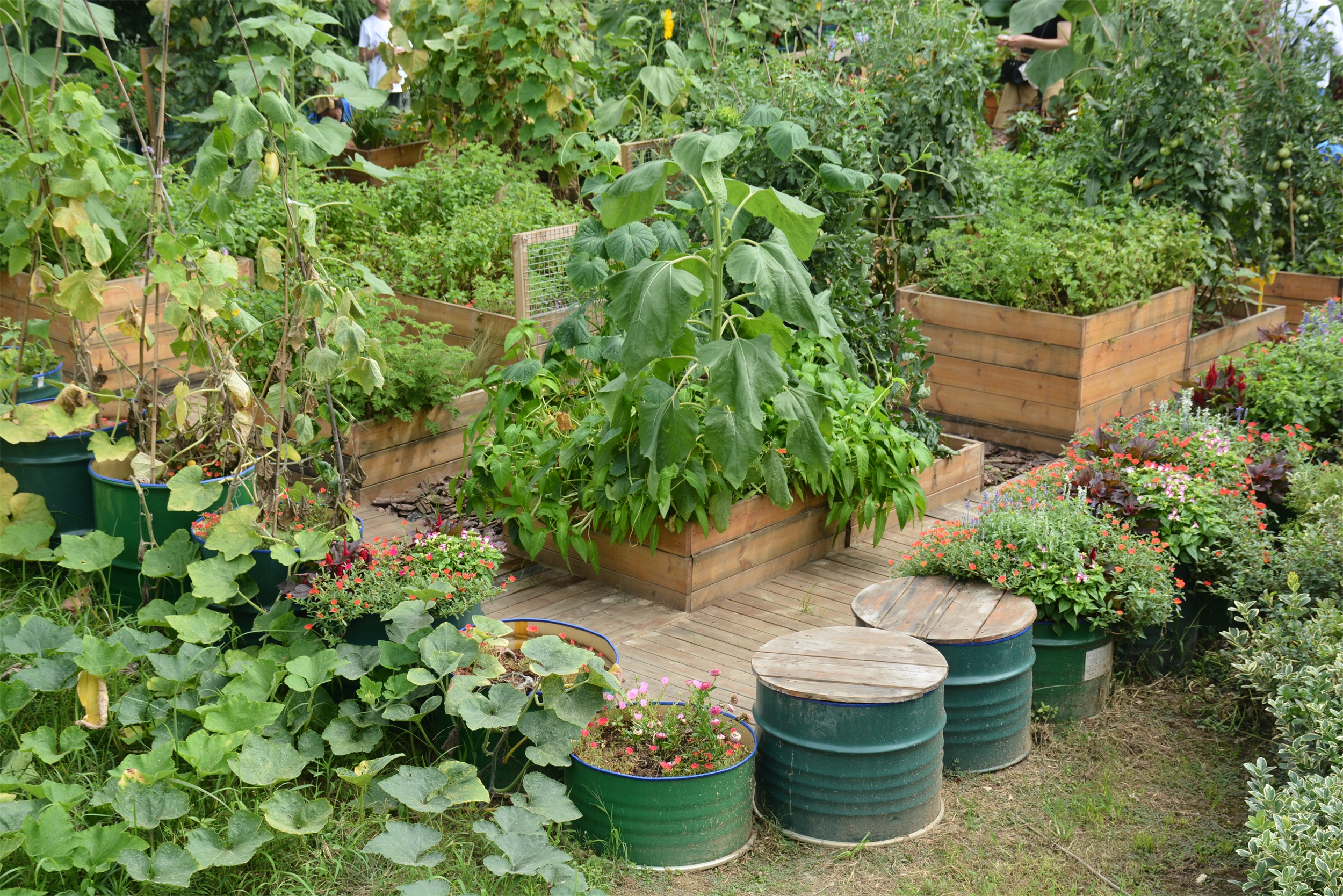 武汉脉动生态花园：一座由工厂废弃物建成的花园丨中国武汉丨盖娅朴门设计-7