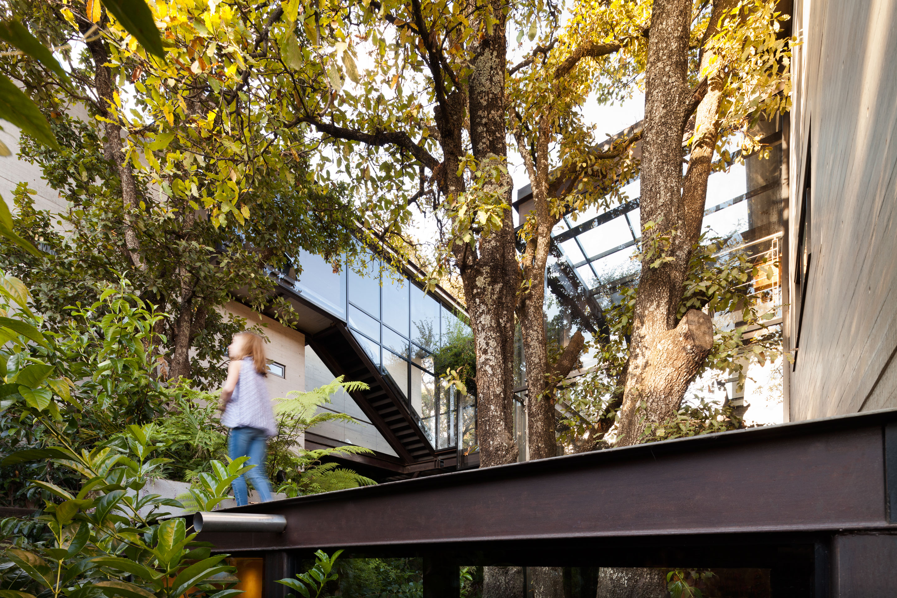 森林中的几何之家-30