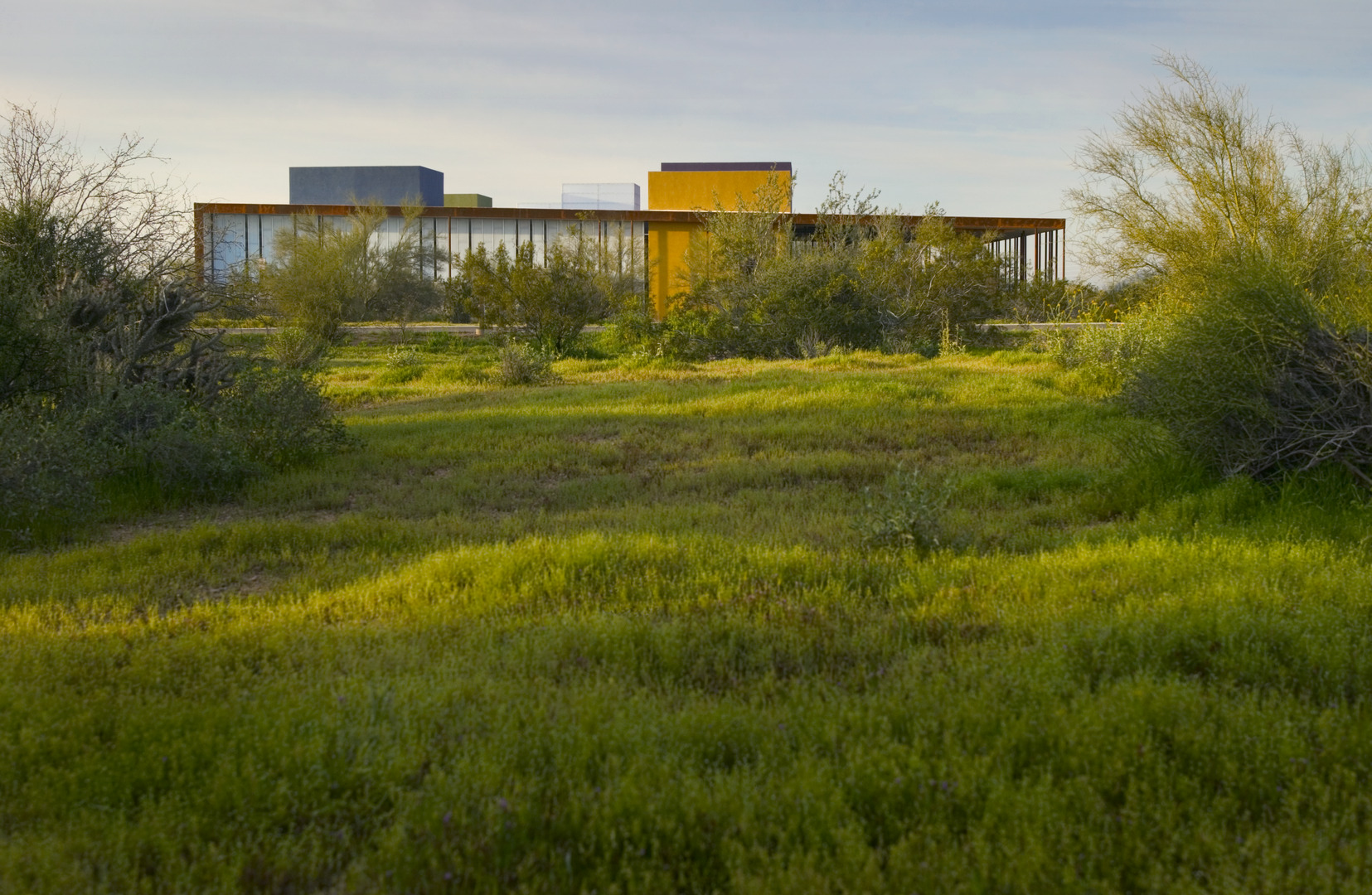 Desert Broom Public Library-0