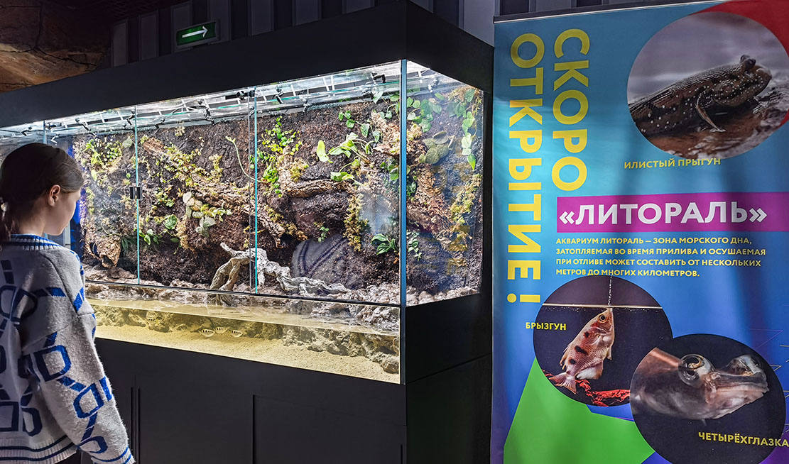 “Литораль”（“海岸带”）水族箱水陆箱丨俄罗斯丨Аква Лого Инжиниринг-46
