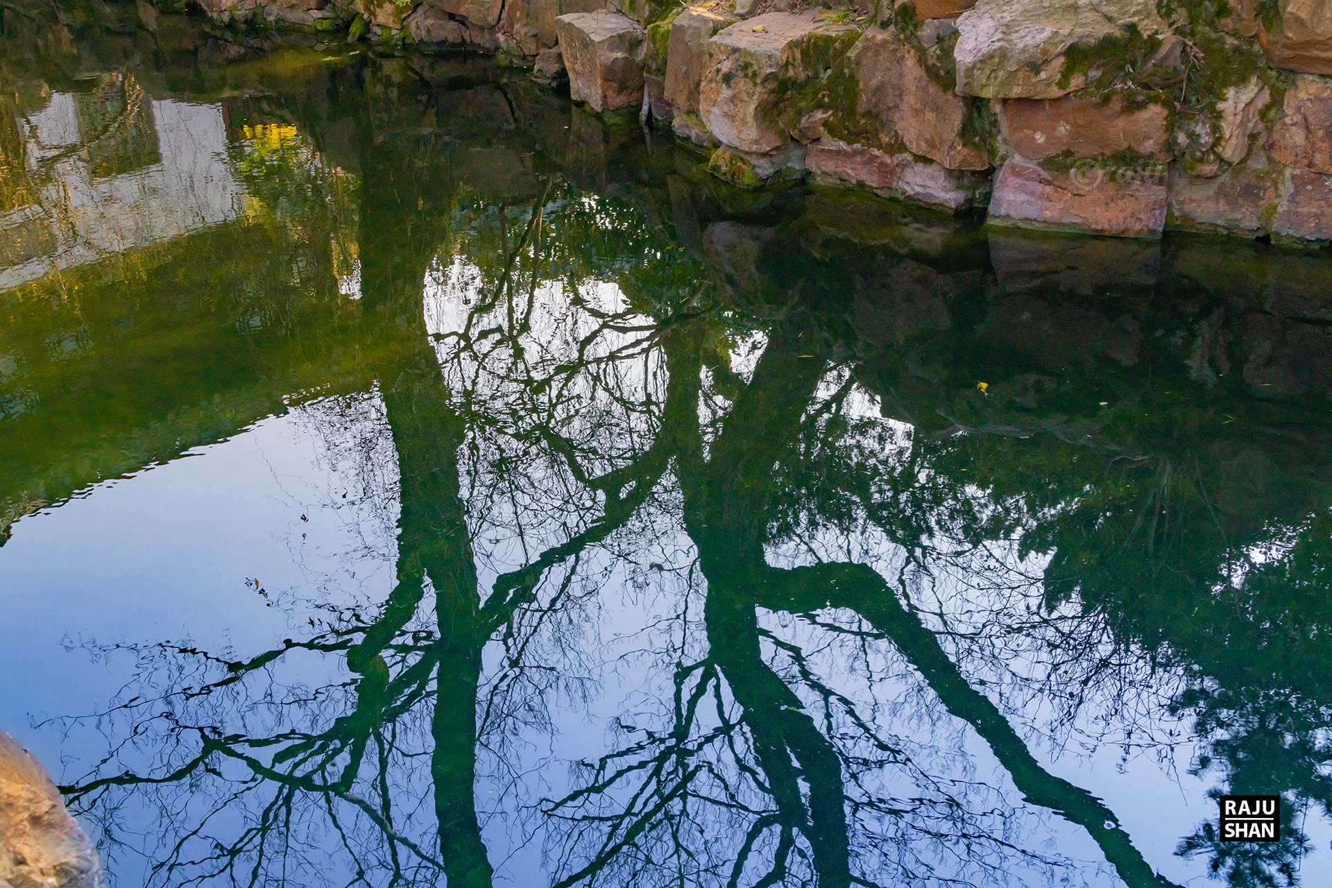 Guyi Garden & NanXinag Ancient Town- Shanghai-12