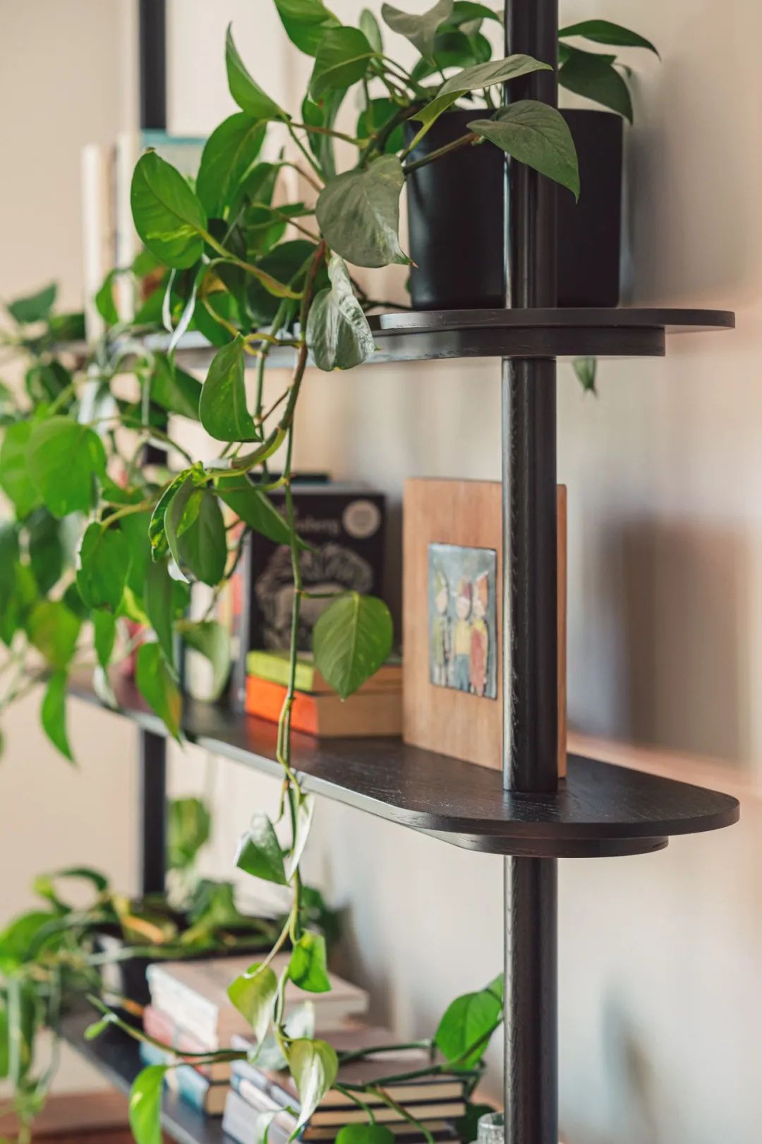 她家的88㎡，一进门就被治愈了！-25