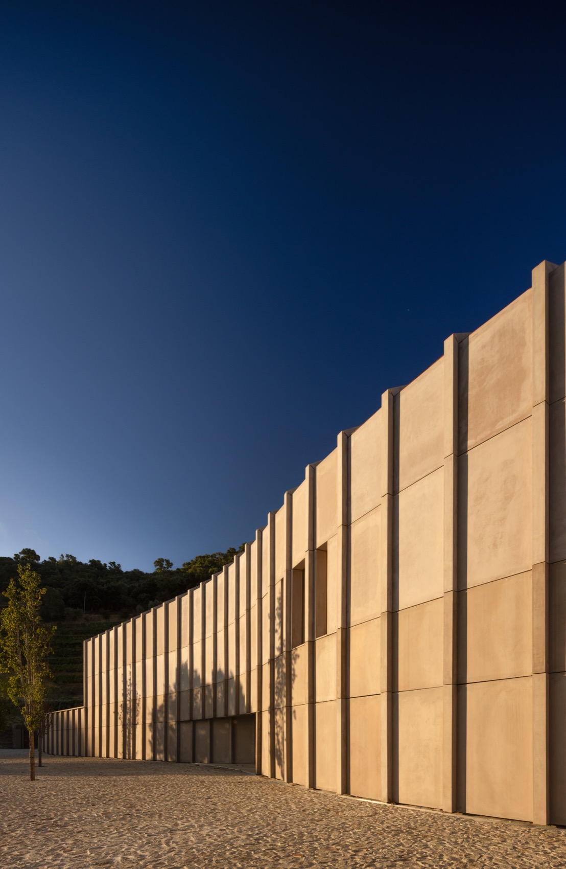 Quinta de Adorigo酒庄丨葡萄牙杜罗丨Atelier Sergio Rebelo等多家团队及个人-164