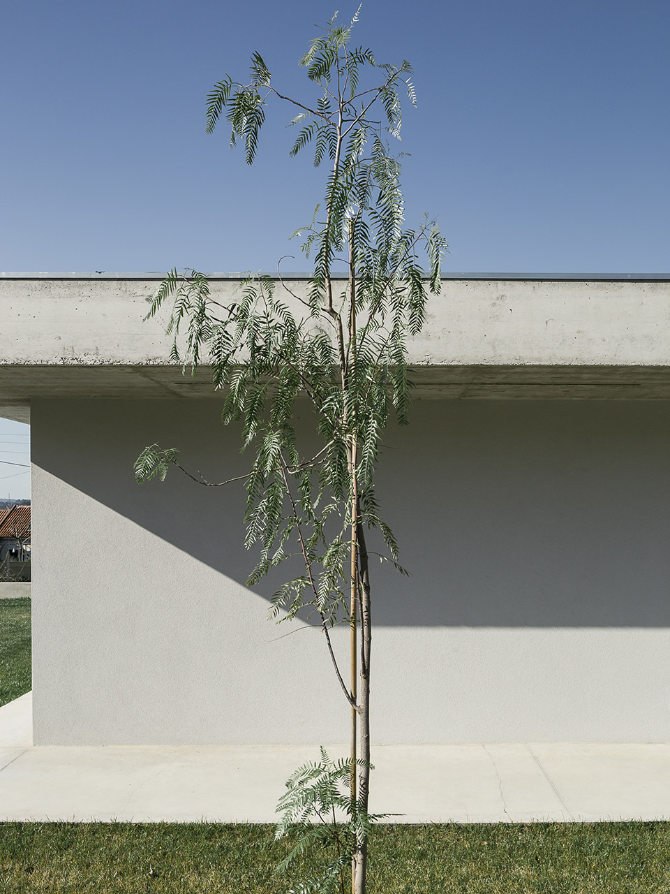 Gloma 住宅，葡萄牙 / Bruno Dias Arquitectura-65