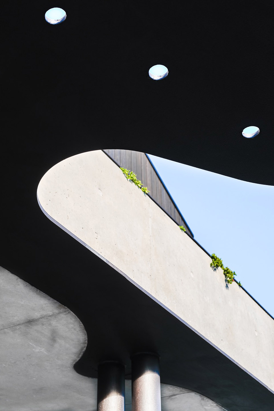 Mosman 住宅改造丨澳大利亚丨Tribe Studio Architects-29