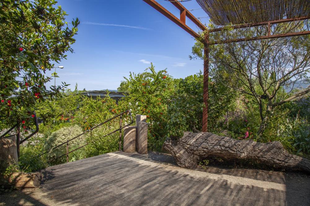 The Gardens of the International Perfumery Museum - France-7